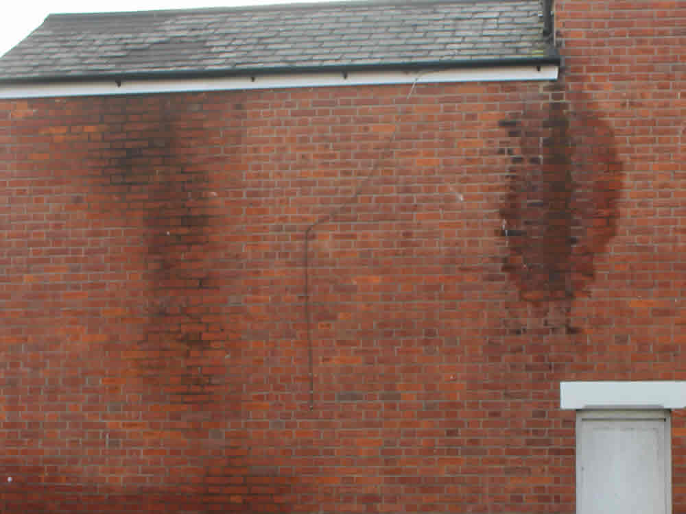 pre-purchase damp and timber rot surveys Chesterfield